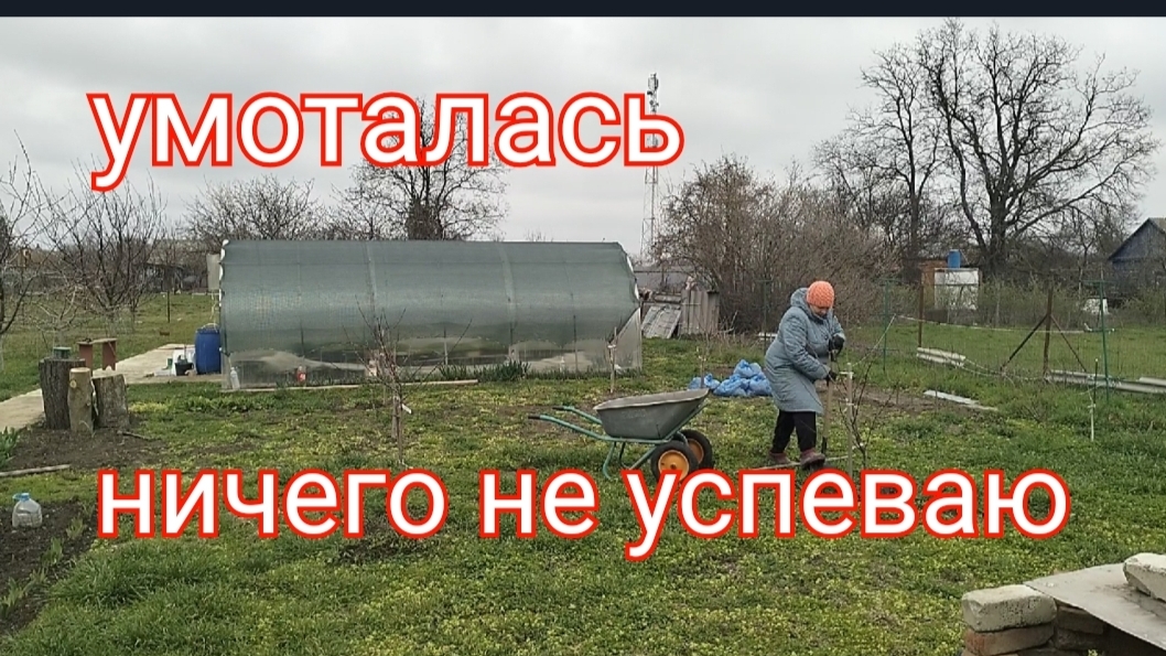 212🏡Умоталась одна/Ничего не успеваю/Подкормила персики/Добралась до кустарников