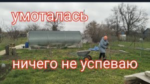 212🏡Умоталась одна/Ничего не успеваю/Подкормила персики/Добралась до кустарников