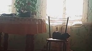 Раскорячилась 😁👍🚀