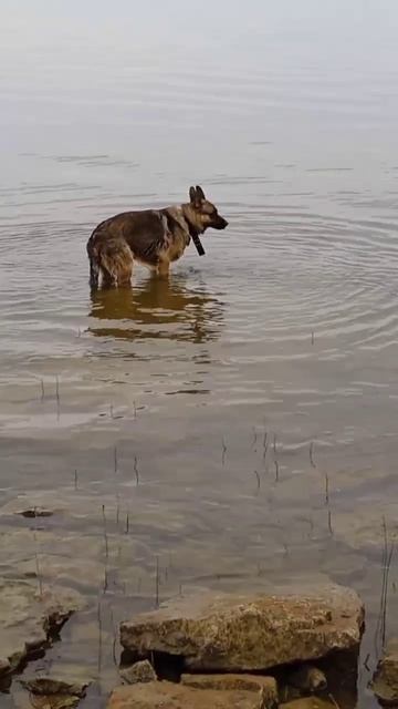 Валдай. Весна 2025год.