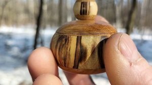 Шкатулка в мартовском лесу на сосне