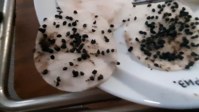 2026г.Лук штуттргарден.и ред барон  решили посадить на рассаду.mp4