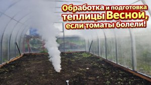 Обработка и подготовка теплицы весной, если томаты болели!