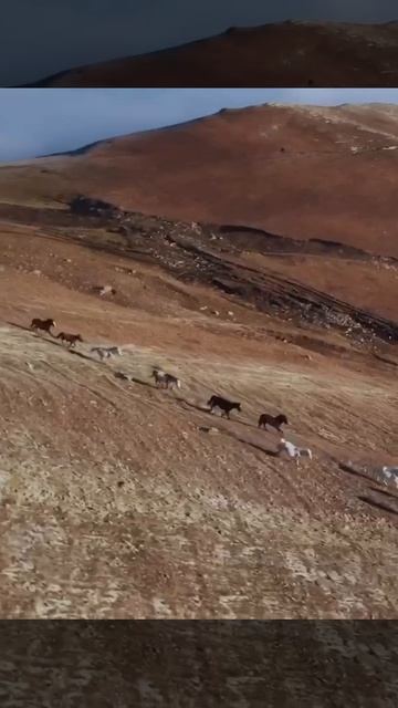 Что меня ждете на дистанции? #спорт #wildtrail #путешествие #бег