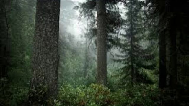 28 марта — Александров день, Лесное ухоженье. Традиции и народные приметы