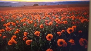 Рыма Чек- не виновата Я, они сами пришли