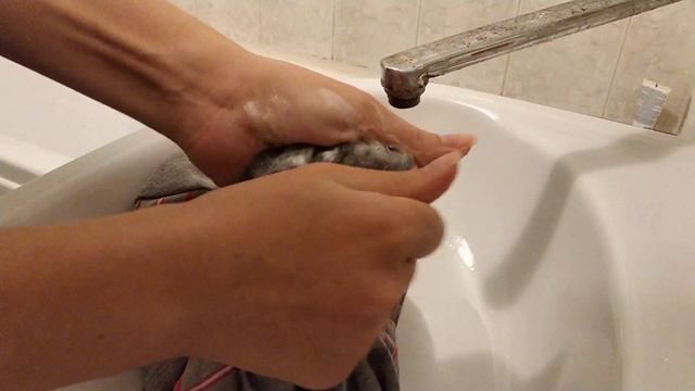 Как отстирать запах пота подмышками с одежды