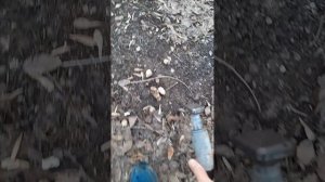 катаемся на великах