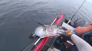 Мой рекордный тунец!борьба с огромной рыбиной!