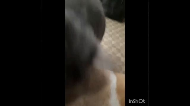 Знакомьтесь, мой кот Тишка! 🐈