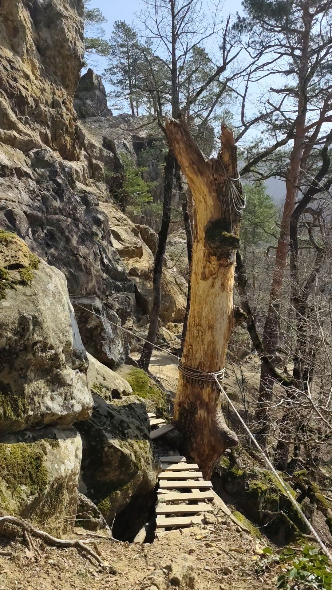 Скалы, скалы