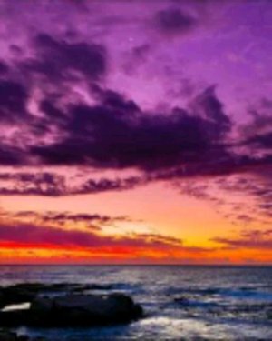 последняя трансляция