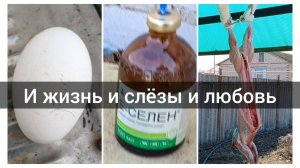 у меня рука не дрогнет 🔪Подарки 🎁 Не спасла 😪Свобода!