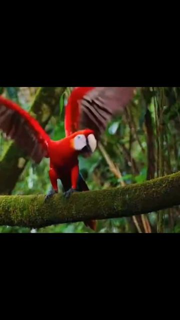 #nature #world #life #harmony #fyp