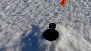 Как правильно рыбачить на жерлицы. Зимняя щука.