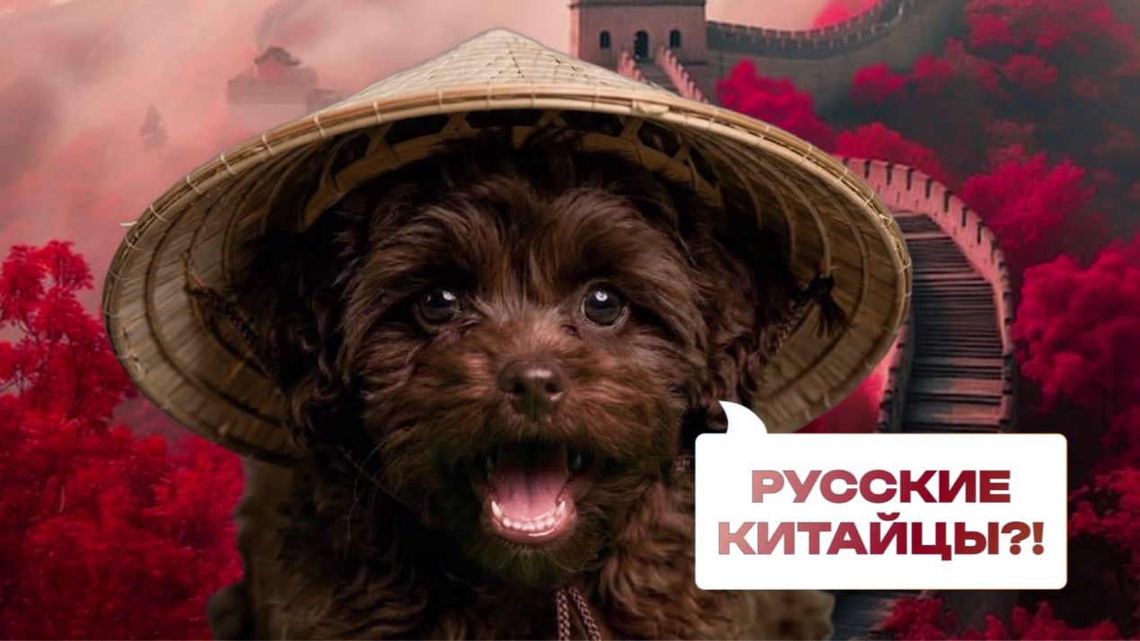 Калужская область побьет рекорд по автопрому