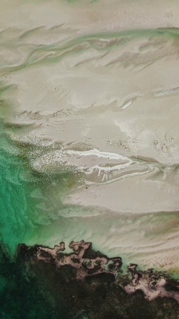 Спасать нельзя оставить #занзибар #недвижимость #инвестиции #африка