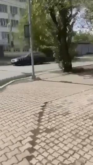 Вавилова 1