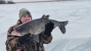 Зимняя рыбалка на Свечино (Хабаровск). Рыбалка на Хапугу !