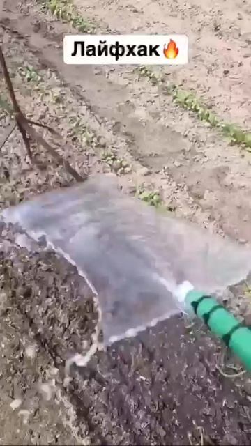 Лучшая идея для полива из лейки — теперь вода точно равномерно попадет на все растения