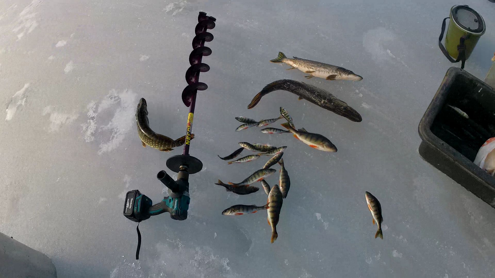 Закрытие сезона зимней рыбалки