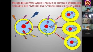 Сложный состав человека и его формирование в процессе эволюции, ч. 2. Е.М.Егорова. 21.03.26 г.