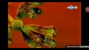 Hgkskqpqkvjznak 2024 jfhcjskvhriqpvj KSJVOAIQI48CJ