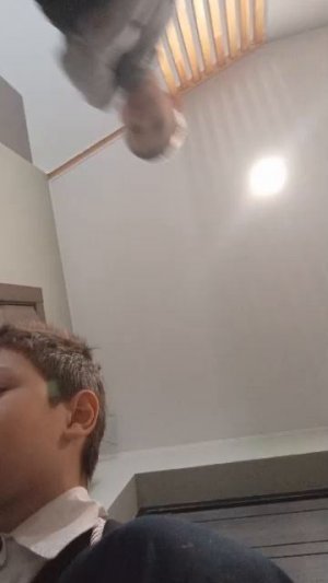 комнатное растение 4