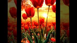 весна!весна!