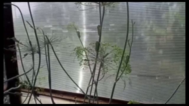 Атака гусениц..