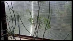 Атака гусениц..