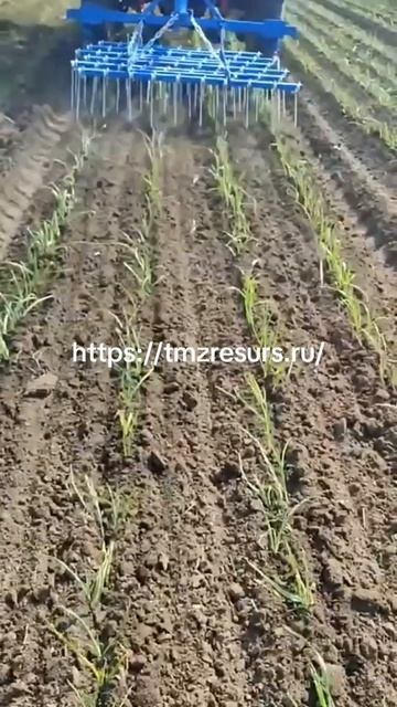 Пропольщик чеснока штригельный ТМЗ РЕСУРС  .