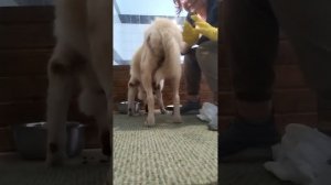 Реабилитация Севера, занятия по укреплению мышц