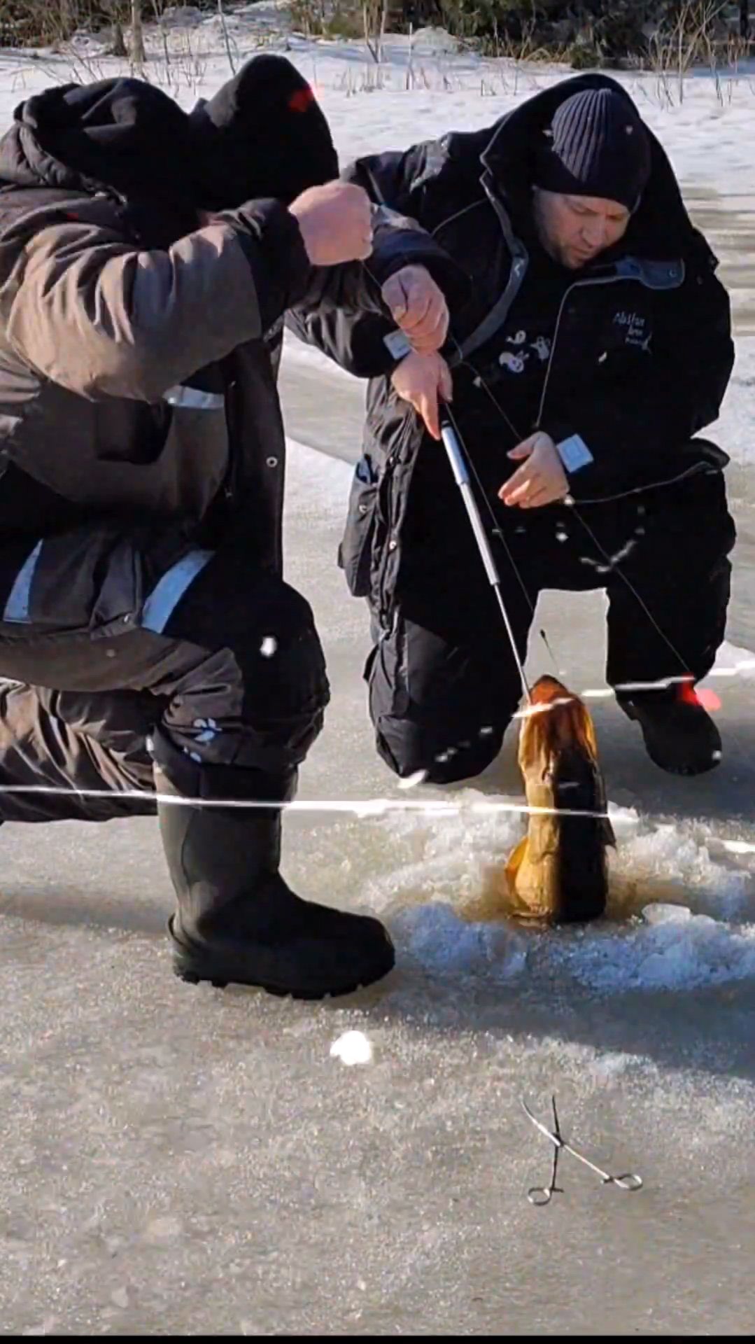 РАЙВОЛА ФИШИНГ канал о рыбалке