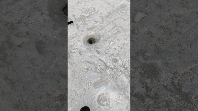 На рыбалке с отцом 2 часть