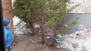 начинаем уборку в вольном зоопарке