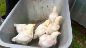 All inclusive. Всё включено