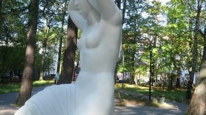 Светлогорск Цветущий