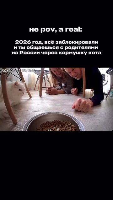 «Всё заблокировали и ты общаешься с родителями через кормушку кота»