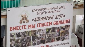 В Заречном прошла благотворительная ярмарка