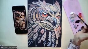 Совушка на черном фоне