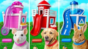 Домики Одного Цвета для Животных Челлендж  Смешные Ситуации и Неудачи