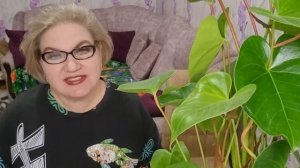 4 часть. Стукачи долго не живут❗️