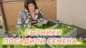 САМВЕЛ АДАМЯН, СЫТНИКИ, ПОСАДИЛИ СЕМЕНА..