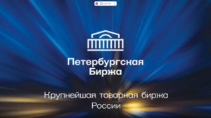 Базовая информация о ключевых направлениях деятельности АО Петербургская Биржа. Итоги 2025 года