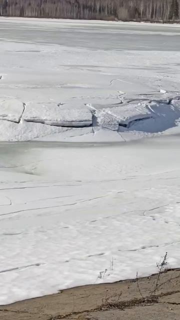 #весна#март#2026