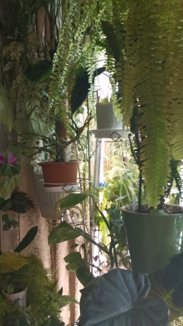 YouCut_20260327_200158416.mp4