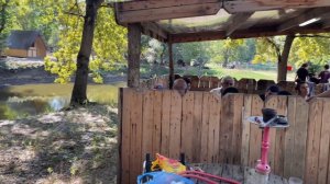 Вайбы на природе