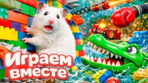 ХОМЯК ВЫБИРАЕТСЯ ИЗ СЕКРЕТНОЙ ХОМЯЧЕЙ ТЮРЬМЫ 🏁🐹🏆 Помогаем выбраться из лабиринта ! ч.4