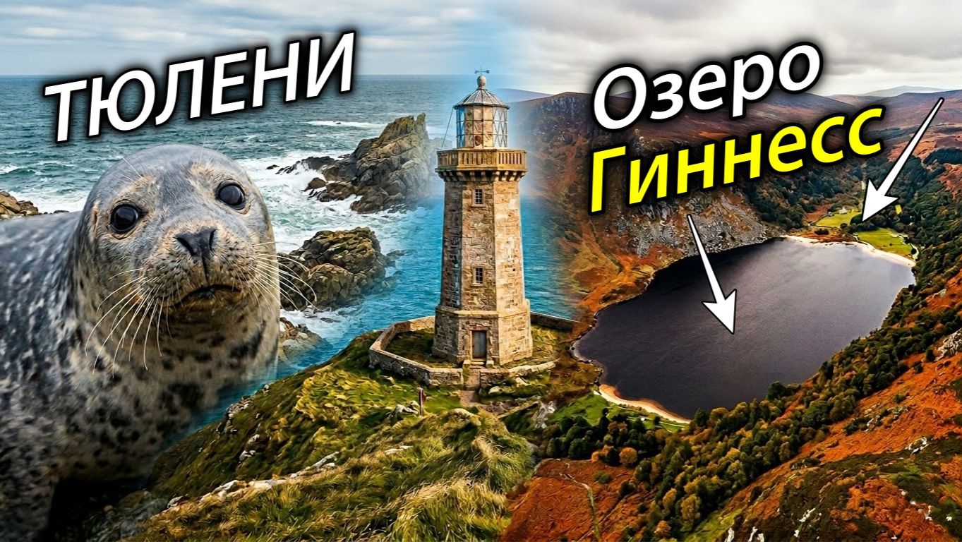 ИРЛАНДИЯ, в которую влюбляешься🇮🇪Тюлени🦭Маяки💡Озеро ГИННЕСС☘️ Beach Cliff Walk🚶♂️Горы WIcklow⛰